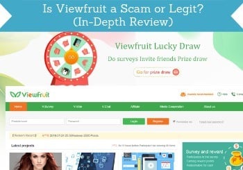 is viewfruit a scam review header